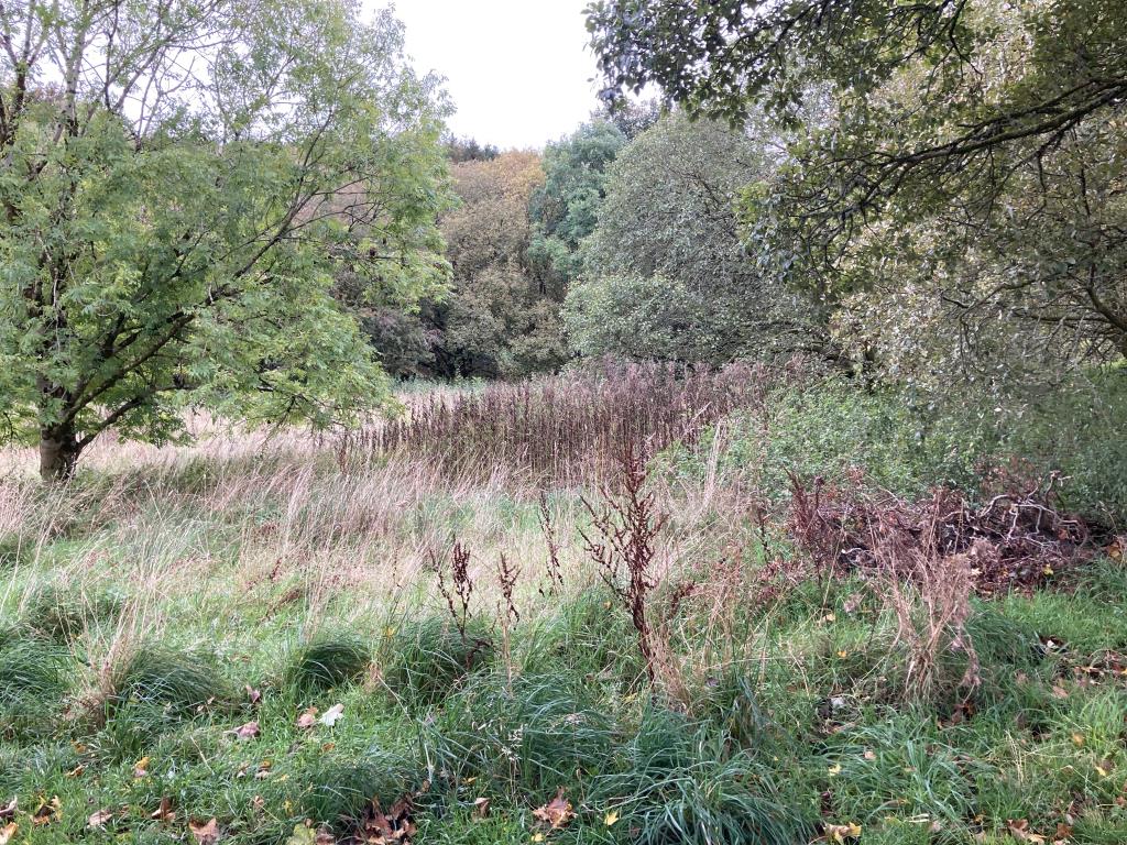 Lot: 29 - LAND WITH DEVELOPMENT POTENTIAL - View on to the land from Hillview Skelmorlie